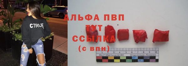сатива Алзамай