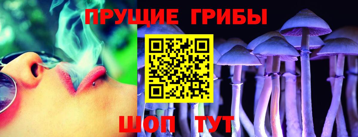 Псилоцибиновые грибы Psilocybe  Вход с VPN  Балашов  Галлюциногенные грибы мухоморы 